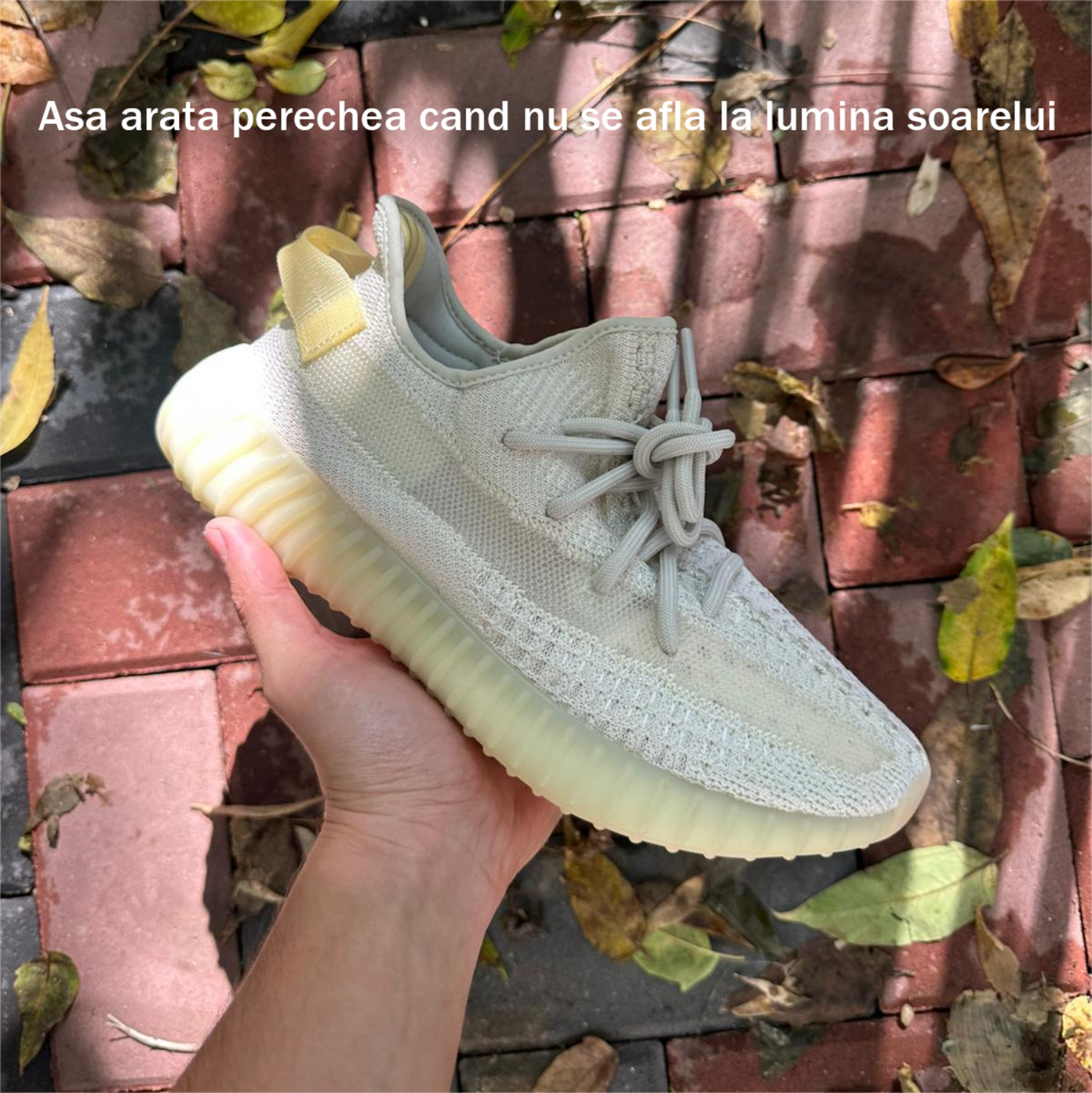 Pantofi Sport Yeezy 350 V2 Light